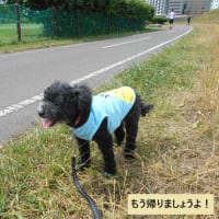 気絶する!?
