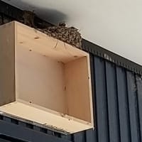「ハイツつばめ」の入居者が増えました