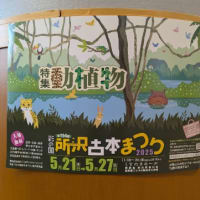 所沢古本まつり　に行きました　2025　5