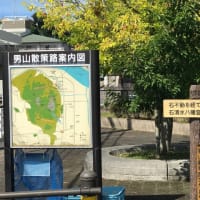朝から散歩