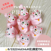6月にゃんにゃんの日はピンクの猫！