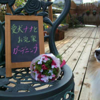 お引越ししました。