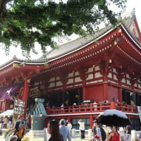 東京浅草・浅草寺ほおずき市
