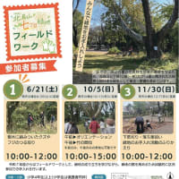 （仮称）北烏山７丁目緑地「緑地開放 深緑の会」（6月21日）〜ふだん入れない緑地が体感できます！