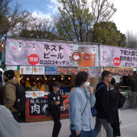 東博の帰り道　うえの桜フェスタ そして 肉離れ