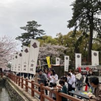 桜の季節 2024