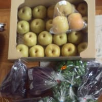 あの・・・物には限度が・・・　とにかく多すぎ！