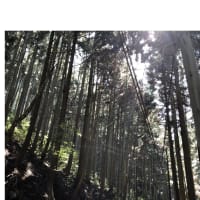 今日いち-2025年4月26日