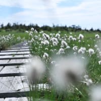 過去一の苗場山。