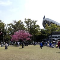 #9332 横浜公園で😄