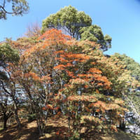 古墳の思い出