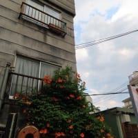 夕方はまだ気持ちいい
