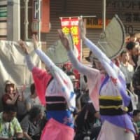 南越谷阿波おどり