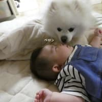 赤ちゃんは動けませんよ！