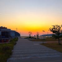 東北、北海道１