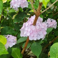 今年もこんにちは✨😃❗