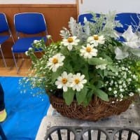 寄せ植え教室　&　紐サボテンの花