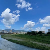 えっ！もう「梅雨明け」⁈＊6/27🐈‍⬛ナナには😿きつかったかも、今年の真夏