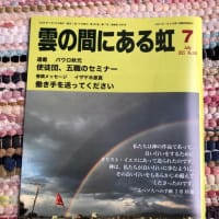 雲虹です