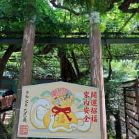 夏越しの大祓、茅の輪くぐり、千年乃藤。