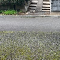 現場調査の一コマ