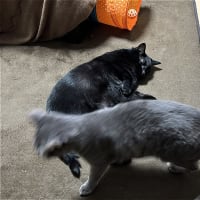 5分後・・・