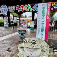 🍓下野国ビジホ旅《終章》デカい道の駅♨️風呂入ってＰＡランチ🍴