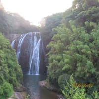 朝の散歩（2025/6/30）・・・姶良市加治木町網掛川上流・龍門滝方面
