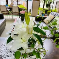 カタツムリとアジサイブローチと花