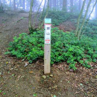 蕨山