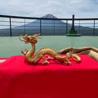 「龍神宿し」の業を日本全国で受けられるオンラインセミナーをスタートします！！