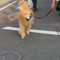 クールネックのシーズン到来