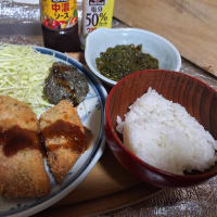 ６・３　紅鮭とトキシラズ