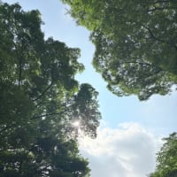 眠くて眠くて