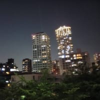 久々の出社