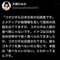 昆虫食とか…
