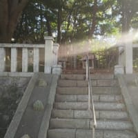 歴史紀行　13 　小野妹子　墓所