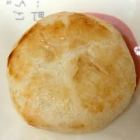 <sweets>ラグノオささき　パイ饅頭　りんご小町