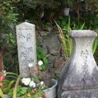 もみじの永観堂～ in 京都府京都市左京区