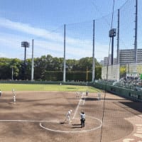 全国高校野球大会地区予選