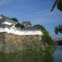 ■知恵蔵 犬山城に引き続き、岸和田城へ