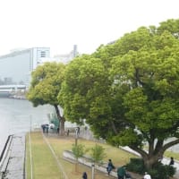 ４月１３日　東洋はり医学会大阪支部会　感想