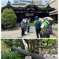 「歴史と美食の探訪」ウォーク