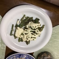 雪国の春、到来