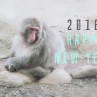 2016.1.1