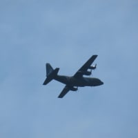 自衛隊機