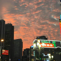 新宿の夕焼け