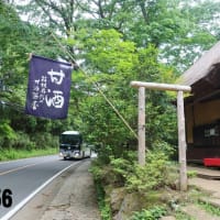 箱根目指して（2025東海道no3)