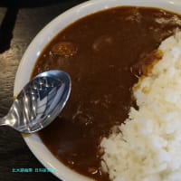 【京都発幕間旅情】榛名さんの総監部グルメ日誌-岐阜,岐阜羽島-ハンバーグとサラダバーは多種多様な紅茶の香りと共に