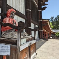 奈良の大仏様に会いに行きました